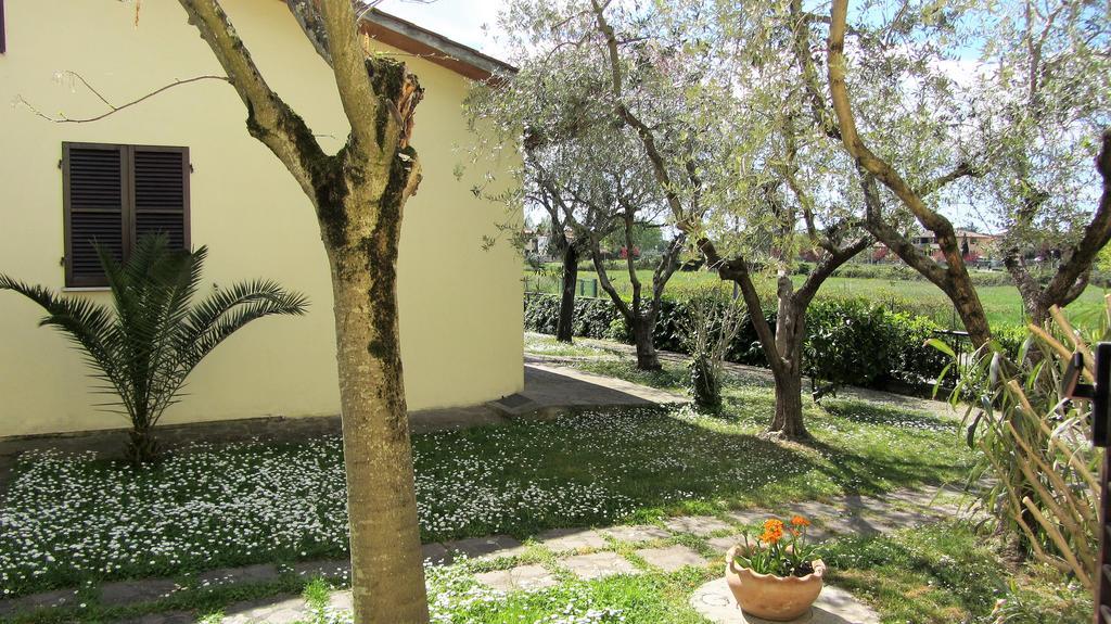 Residence Ranieri Castiglione del Lago Bagian luar foto